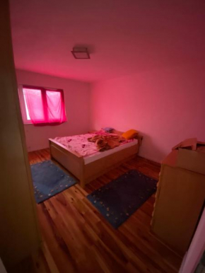 Priroda i društvo